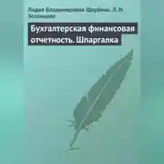 Постер книги Бухгалтерская финансовая отчетность. Шпаргалка