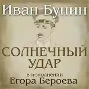 Постер книги Солнечный удар. рассказ