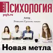 Постер книги Новая метла