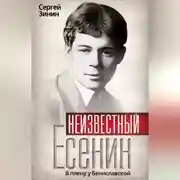 Постер книги Неизвестный Есенин. В плену у Бениславской
