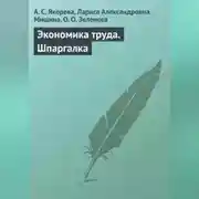 Постер книги Экономика труда. Шпаргалка