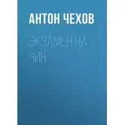 Постер книги Экзамен на чин