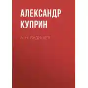 Постер книги А. Н. Будищев