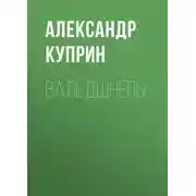 Постер книги Вальдшнепы