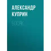 Постер книги Босяк