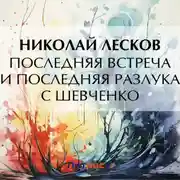 Постер книги Последняя встреча и последняя разлука с Шевченко