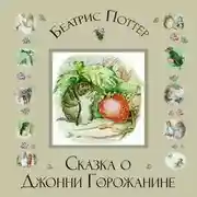 Постер книги Сказка о Джонни Горожанине