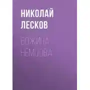 Постер книги Божина Немцова
