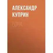 Постер книги Бора