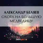 Постер книги Охота на Большую Медведицу