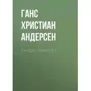 Постер книги Сундук-самолет