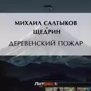 Постер книги Деревенский пожар