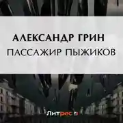 Постер книги Пассажир Пыжиков