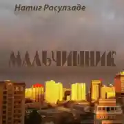 Постер книги Мальчишник