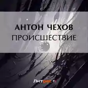 Постер книги Происшествие