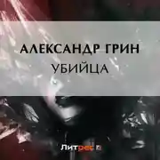 Постер книги Убийца
