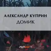 Постер книги Домик