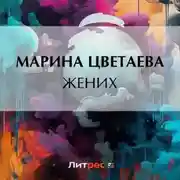 Постер книги Жених