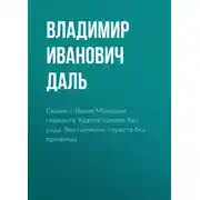 Постер книги Сказка о Иване Молодом сержанте Удалой голове, без роду, без племени, спроста без прозвища