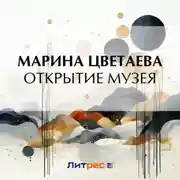 Постер книги Открытие музея