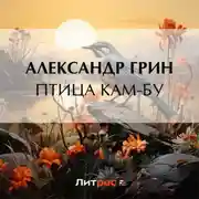 Постер книги Птица Кам-Бу