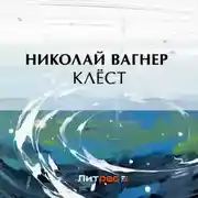 Постер книги Клёст