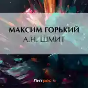 Постер книги А. Н. Шмит