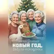 Постер книги Новый год, бабули-попаданки