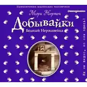 Постер книги Бедный Нержавейка. История о Добывайках