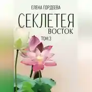 Постер книги Секлетея. Восток