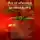 Иван Дубровин - Все об обычном помидоре