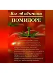 Иван Дубровин - Все об обычном помидоре