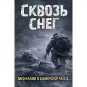 Постер книги Сквозь снег