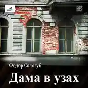 Постер книги Дама в узах