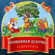 Постер книги Волшебная дудочка