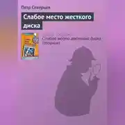Постер книги Слабое место жесткого диска