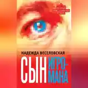 Постер книги Сын игромана