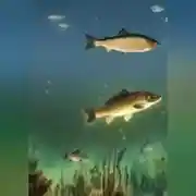 Постер книги Водоем – кормилец