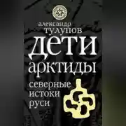 Постер книги Дети Арктиды. Северные истоки Руси