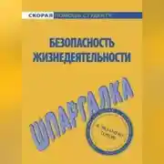 Постер книги Безопасность жизнедеятельности. Шпаргалка