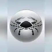 Постер книги Рак (21.06 – 22.07)