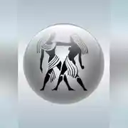 Постер книги Близнецы (21.05 – 20.06)