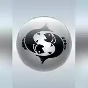 Постер книги Рыбы (19.02 – 20.03)