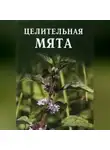 Иван Дубровин - Целительная мята