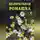 Иван Дубровин - Целительная ромашка
