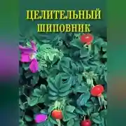 Постер книги Целительный шиповник