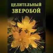 Постер книги Целительный зверобой