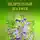 Иван Дубровин - Целительный шалфей