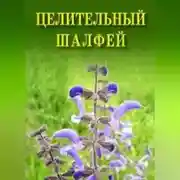 Постер книги Целительный шалфей