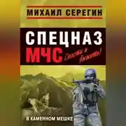 Постер книги В каменном мешке